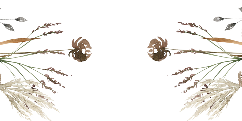 Floral Divider, decorative